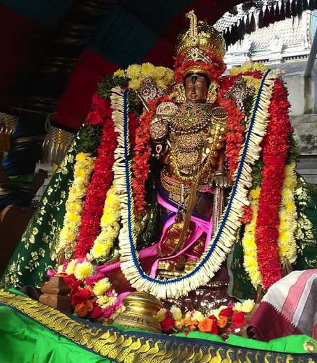 Therazhundur Sri Aamaruviyappan Maasi Magam Utsavam