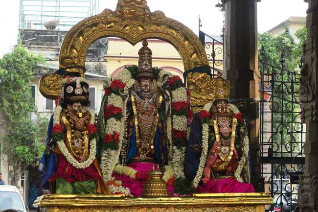 Thiruvallikeni Sri Parthasarathy Perumal Temple Sri Ramanavami Utsavam: Day 1 & 3