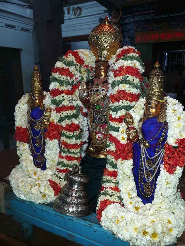 Aminjikarai Sri Prasanna Varadharaja Perumal Temple Dhavanotsavam