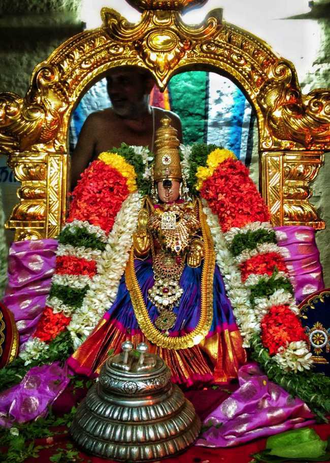 Uraiyur Sri Kamalavalli Nachiyar Temple Theppotsavam: Day 3