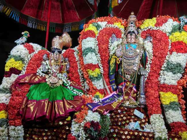Therazhundur Amaruviyappan Temple Panguni Utsavam: Thirukalyana Utsavam (Part 2)