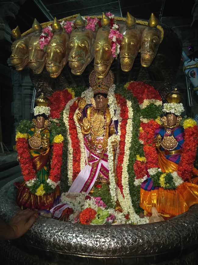 Thirukudanthai Sri Sarangapani Temple Chithirai Utsavam: Day 1 to 3