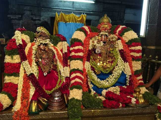Tirupathi Sri Pundareeka Valli Sametha Sri Govindharaja Perumal Panguni Uthiram Serthi Sevai