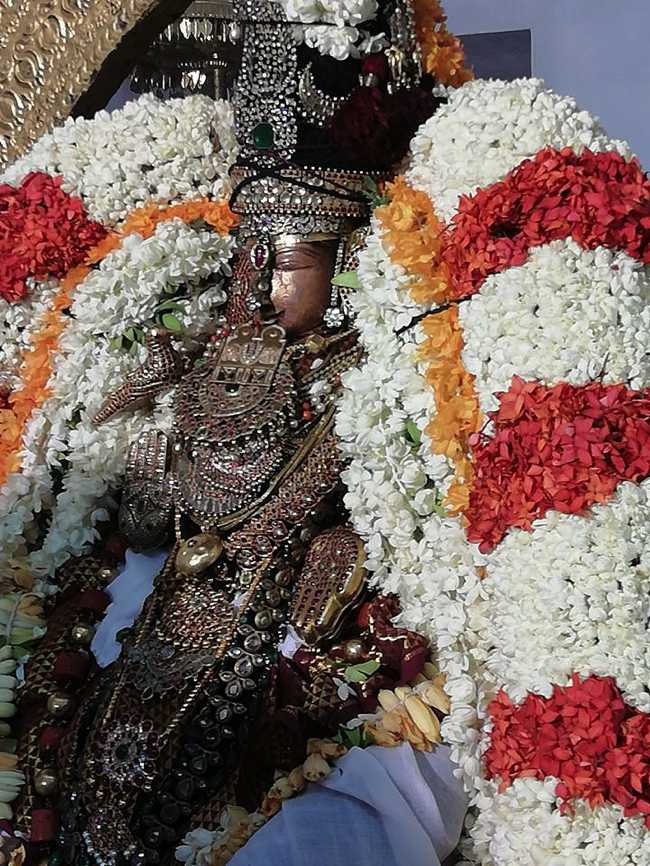 Kanchi Sri Perundevi Thayar KadaiVelli Purappadu