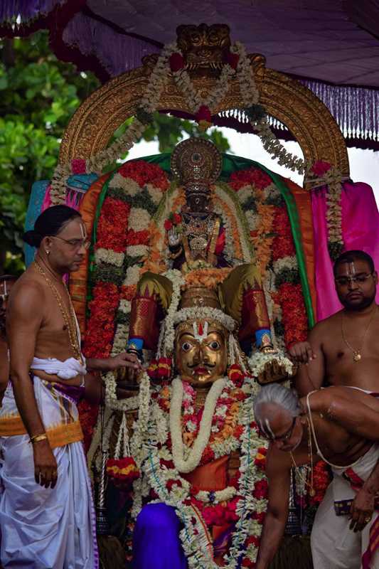 Thiruvallikeni Sri Parthasarathy Perumal Temple Chithirai Brahmotsavam: Garuda Sevai