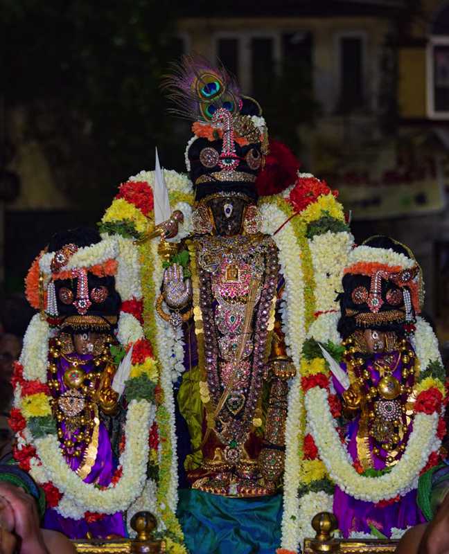 Thiruvallikeni Sri Parthasarathy Swamy Temple Chithirai Brahmotsavam: Day 8&9