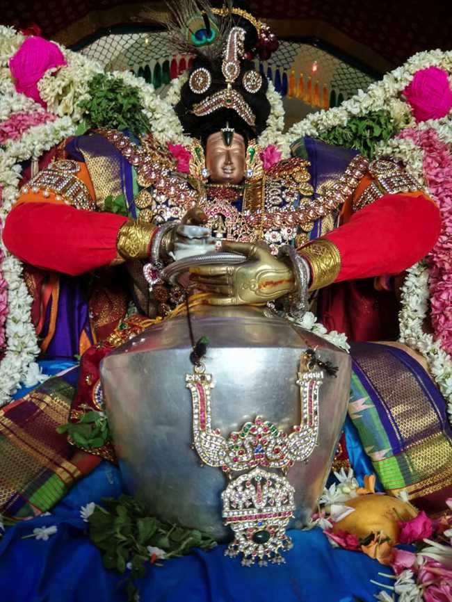 Therazhundur Sri Devathirajan Brahmotsavam: Day 7 and 8