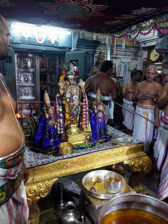 Kanchi Sri Varadaraja Perumal Brahmotsavam: Day 8