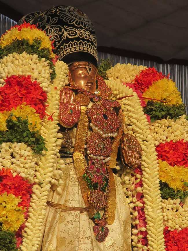 Thiruvallikeni Sri Gajendra Varadar Thirunakshatra Utsavam: Day 6
