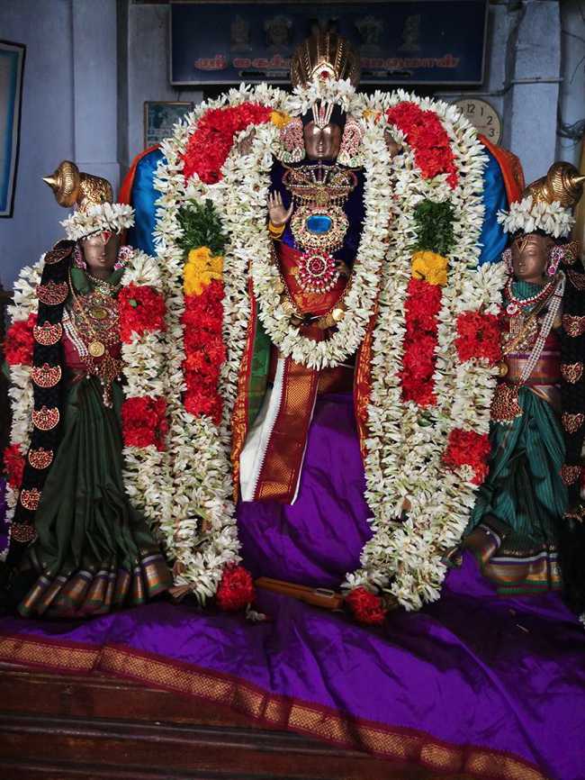 Thirukoodalur Sri Jagathraksha Perumal Temple Navaneetha Brahmotsavam ChoornaUtsavam