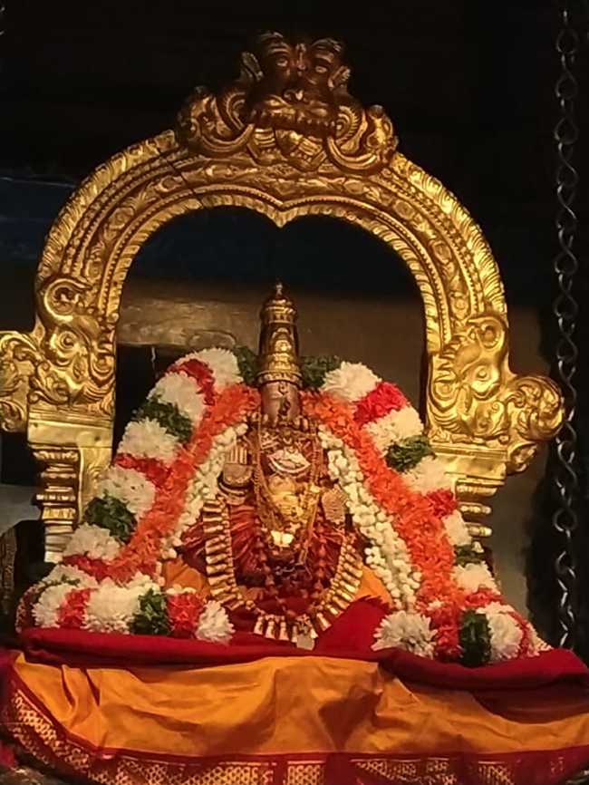 Thiruvallur Sri Kanakavalli Thayar Vaikasi Vellikizhamai Purappadu
