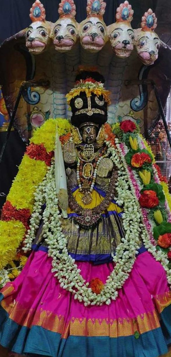 Vilambi Aadi Velli at Mylapore Sri Aadhikesava Perumal Temple