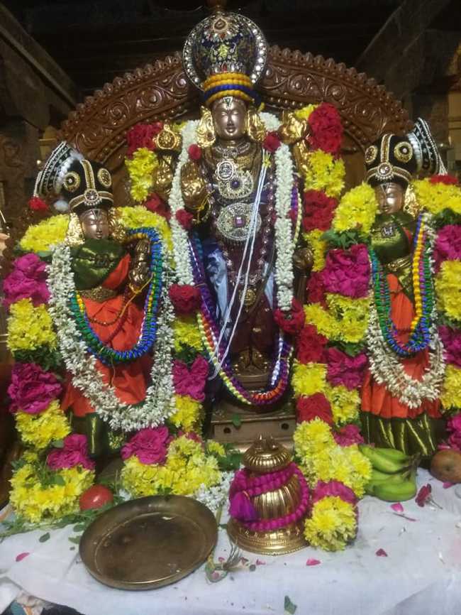 Mylapore Sri Madhava Perumal Pavithrotsavam: Day 1 & 2