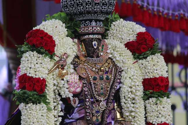 Thiruvallikeni Sri Parthasarathy Perumal Temple Kodai Utsavam: Day 1 to 4