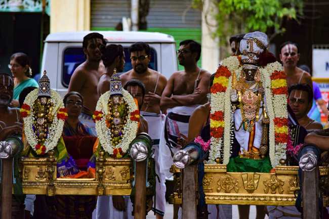Thiruvallikeni Parthasarathy Temple Kodai Utsavam: Day 5 to 7