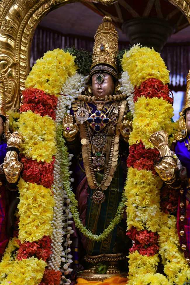 Thiruvallikeni Sri ThelliyaSingar Aadi Swathi Purappadu