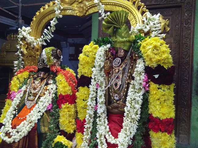 Arcot Sri Perundevi Thayar Sametha Sri Vardaraja Perumal Thirukalyanam