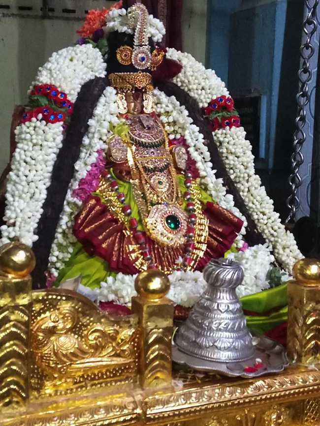 Perungalathur Sri Srinivasa Perumal Temple Thayar Aadi Velli Purappadu