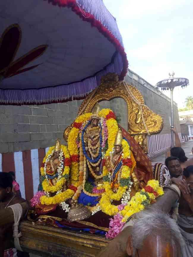 Kanchi Sri Varadaraja Perumal Temple Thirupavithrotsavam: Day 5