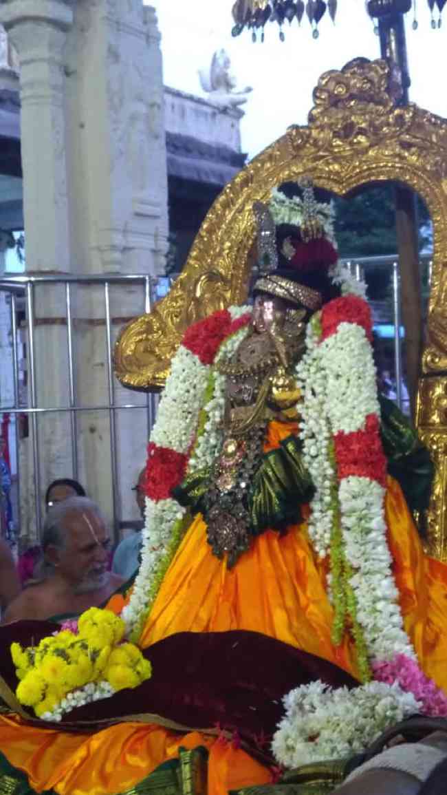 Kanchi Sri Varadaraja Perumal Temple Thiruvadipooram Utsavam: Day 8