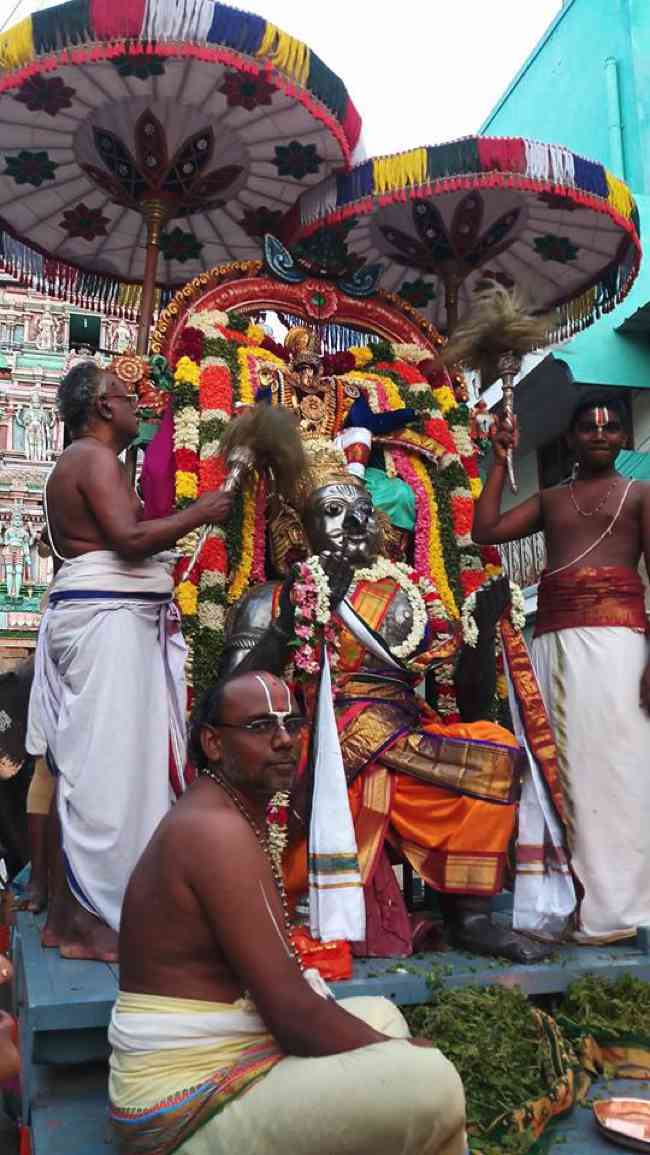Thiruvinnagar Sri Oppilliappan Temple ThiruPavithrotsava Udaya Garuda Sevai