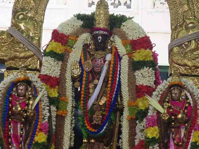 Thiruvallikeni Sri Parthasarathy Perumal Temple Pavithrotsavam: Day 6