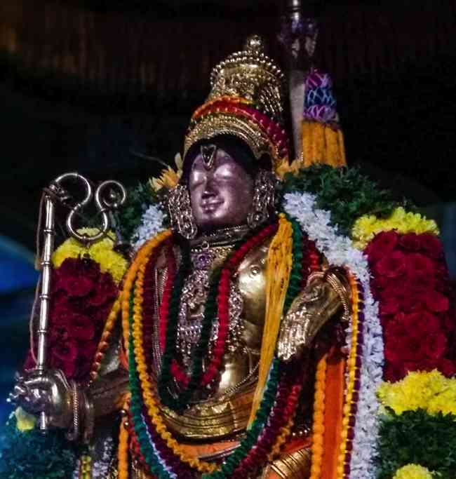 Mannargudi Sri Vidhyarajagopalaswamy Temple Thirupavithrotsavam: Day 9