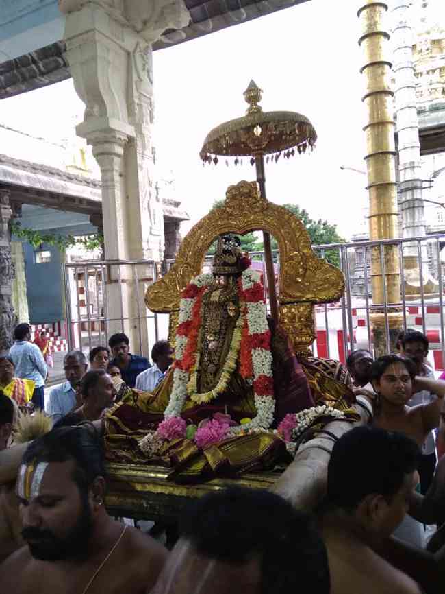 Thiruvaadipoora Utsavam at Kanchi Sri Varadaraja Perumal Temple Commences