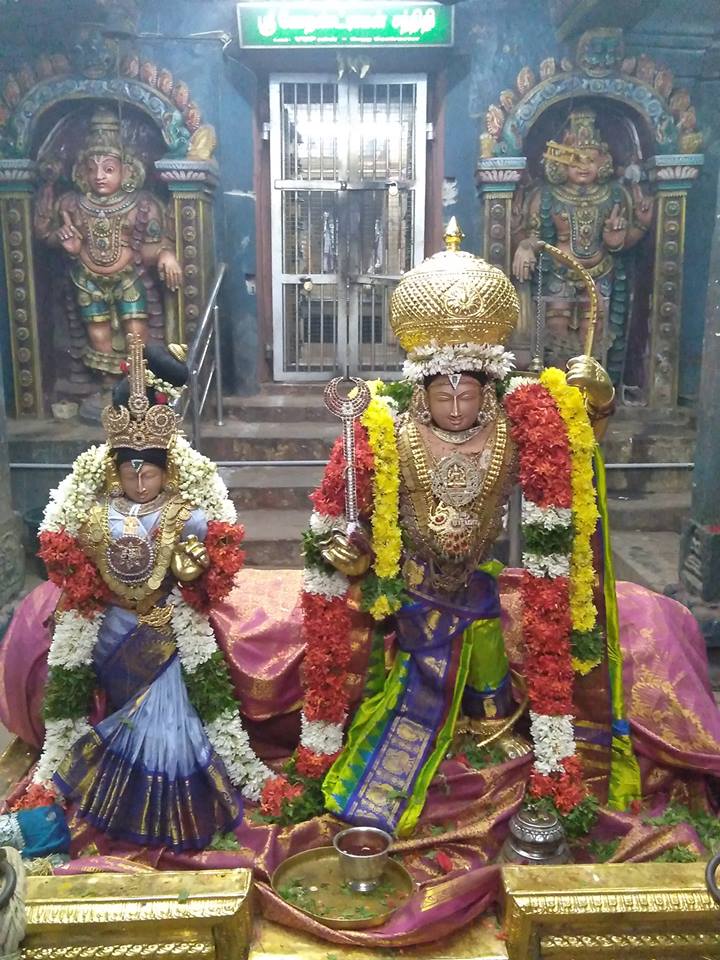 Vaduvur Sri Kothandaramaswamy Temple Dolotsavam: Day 3