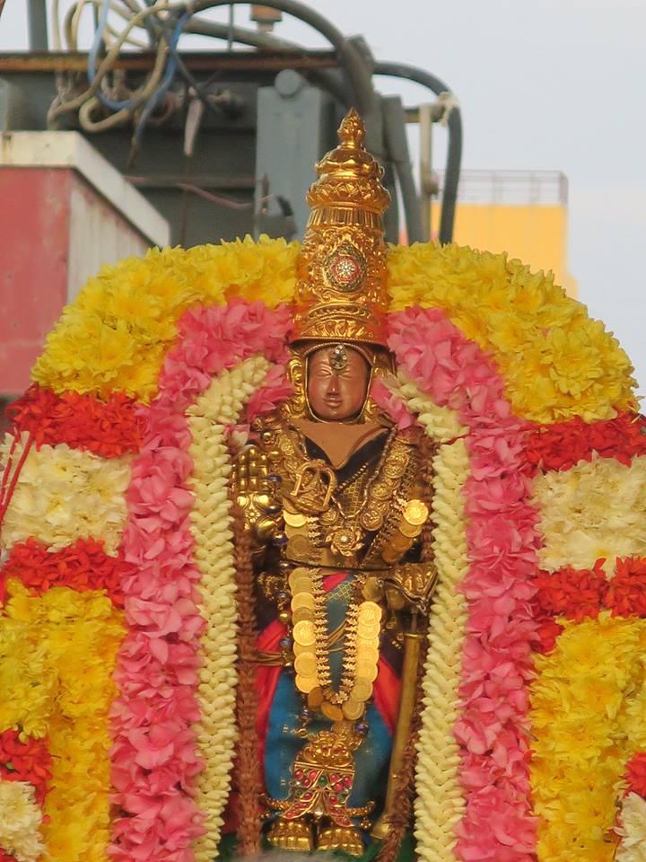 Thiruvallikeni Sri Parthasarathy Temple Aippasi Revathi Nakshatra Purappadu