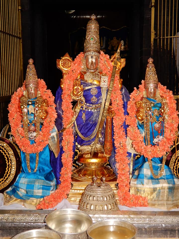 Thiruvallur Veeraraghava Swami Brahmotsavam – Day 5 to Day 7